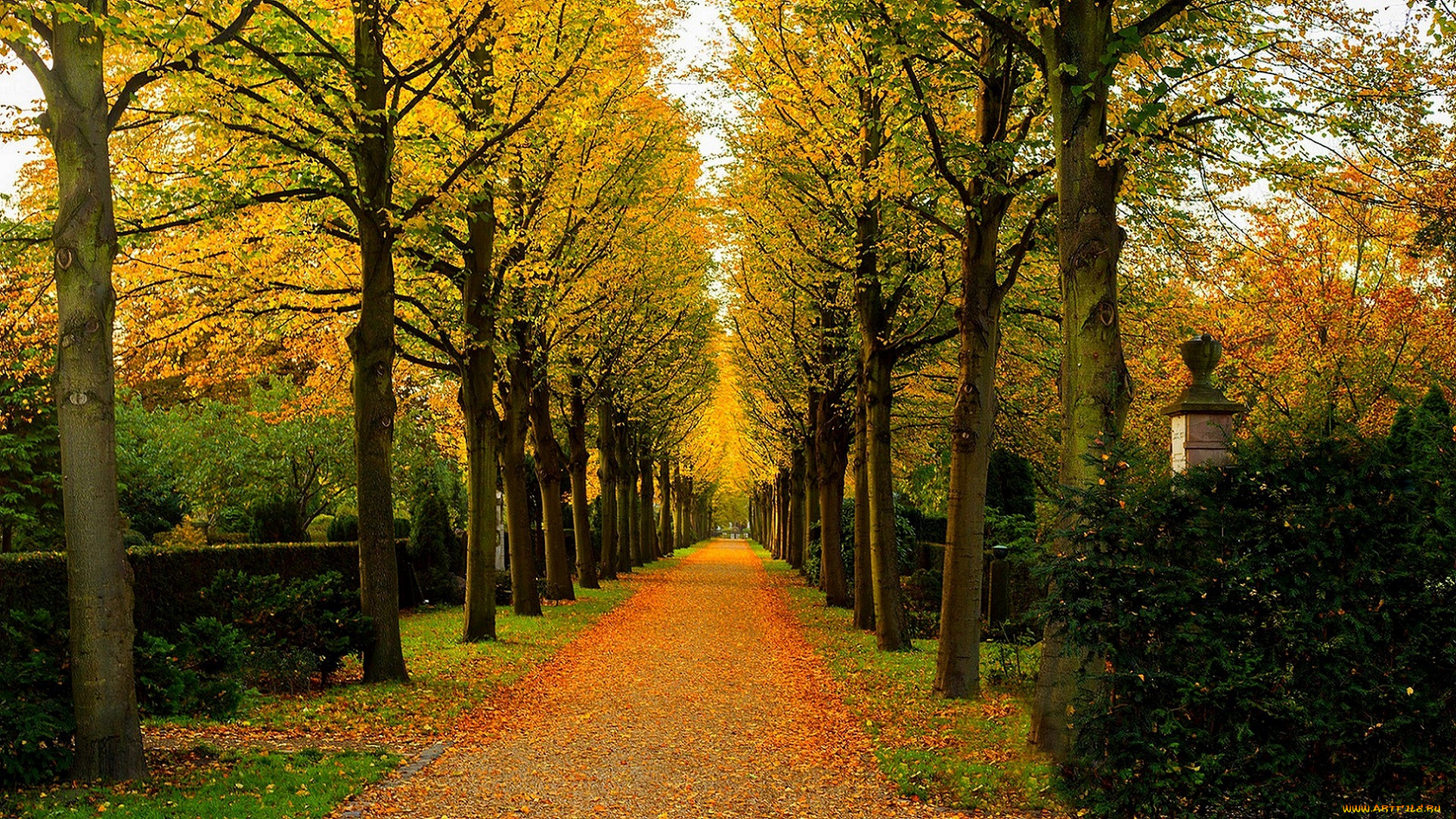 , , nature, forest, park, trees, leaves, colorful, road, path, autumn, fall, colors, walk, , , , , , 